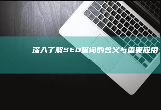 深入了解：SEO查询的含义与重要应用